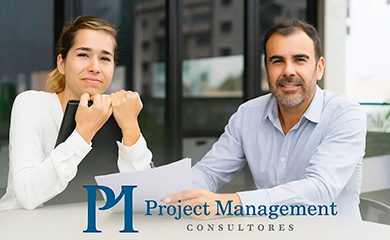 pmconsultores-consultor